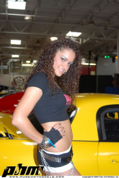 HIN_DC_2008_029