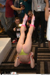 AVN-Day2-274